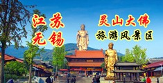 肛交小视频江苏无锡灵山大佛旅游风景区